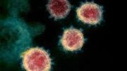 Kirklandâ€™s Response to COVID-19 (Coronavirus) Outbreak