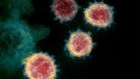 Kirkland’s Response to COVID-19 (Coronavirus) Outbreak